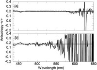 anisotropy